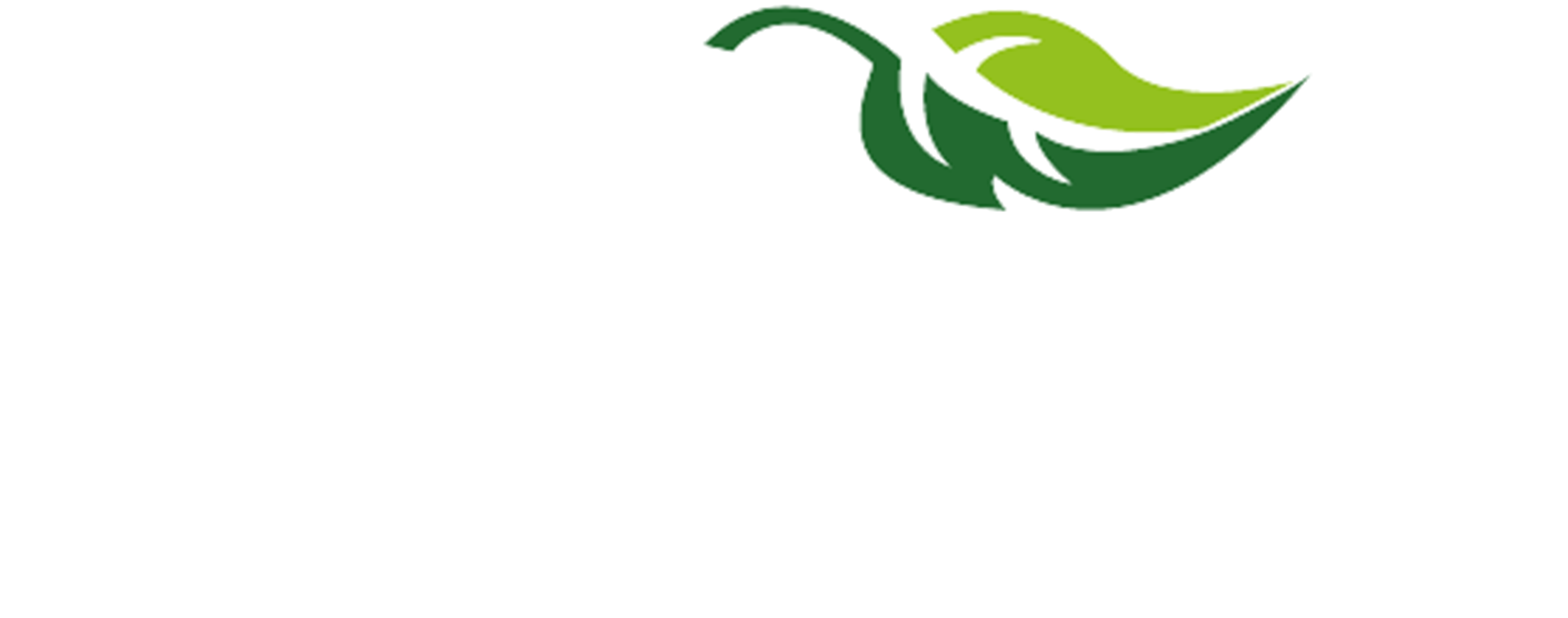 white logo copy