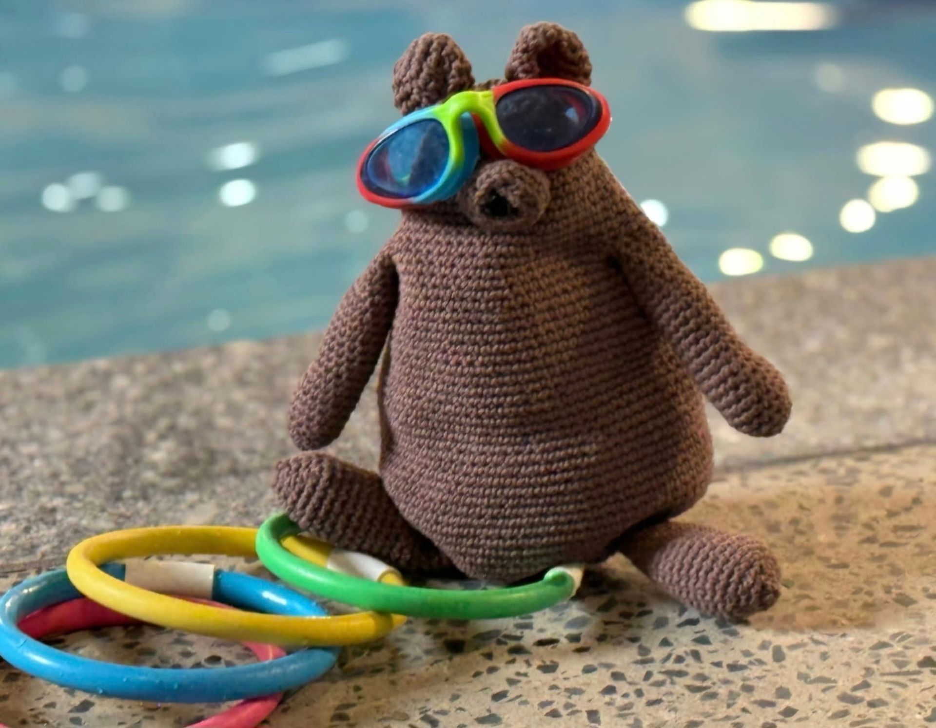 A Stuffed Animal Wearing Goggles is Sitting Next to a Pool — DNA Aquatics in Bundaberg, QLD