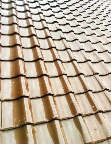 A close up of a roof with a lot of tiles on it. In Bradford, UK. Expertly cleaned by Glow Guard.