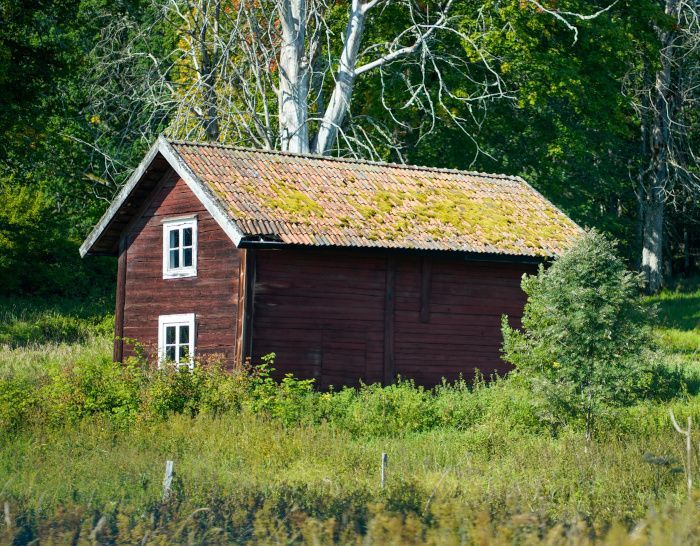 A small red house is sitting in the middle of a grassy field. It's roof is coated in moss.