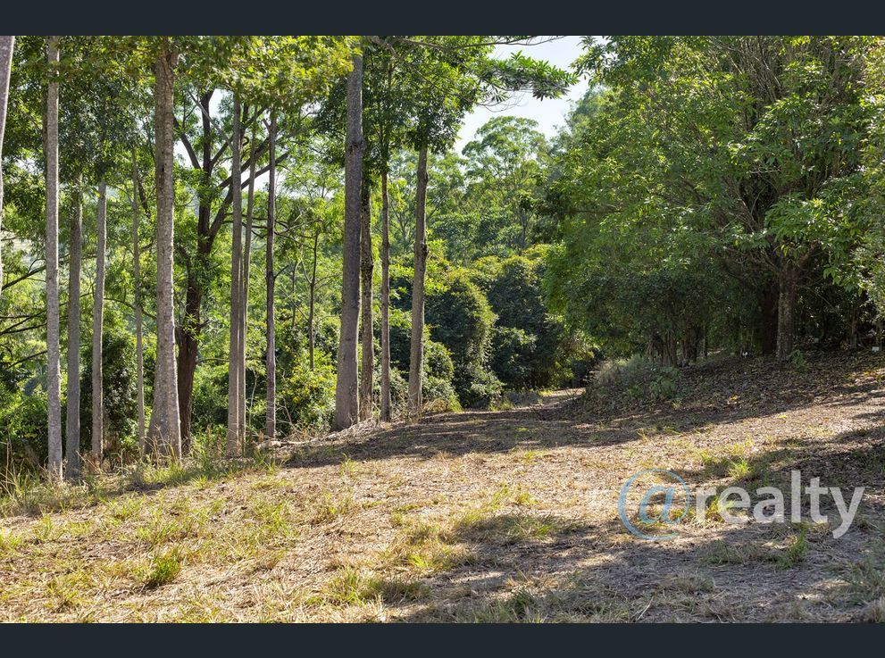 Property image of 310 Richards Road Newee Creek NSW 2447 #2 | Real Estate Nambucca