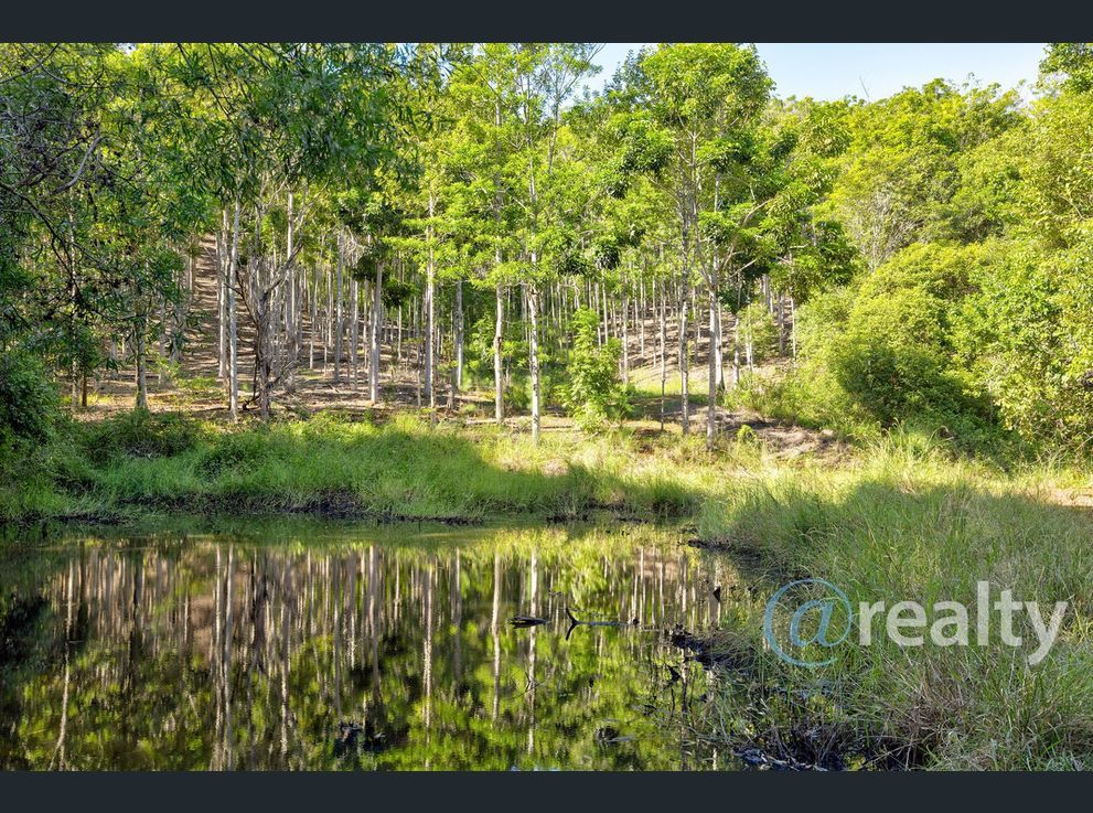 Property image of 310 Richards Road Newee Creek NSW 2447 #3 | Real Estate Nambucca