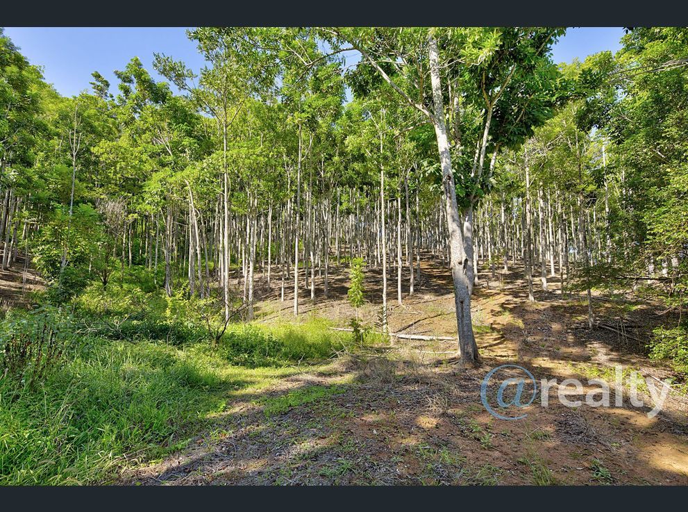 Property image of 310 Richards Road Newee Creek NSW 2447 #4 | Real Estate Nambucca