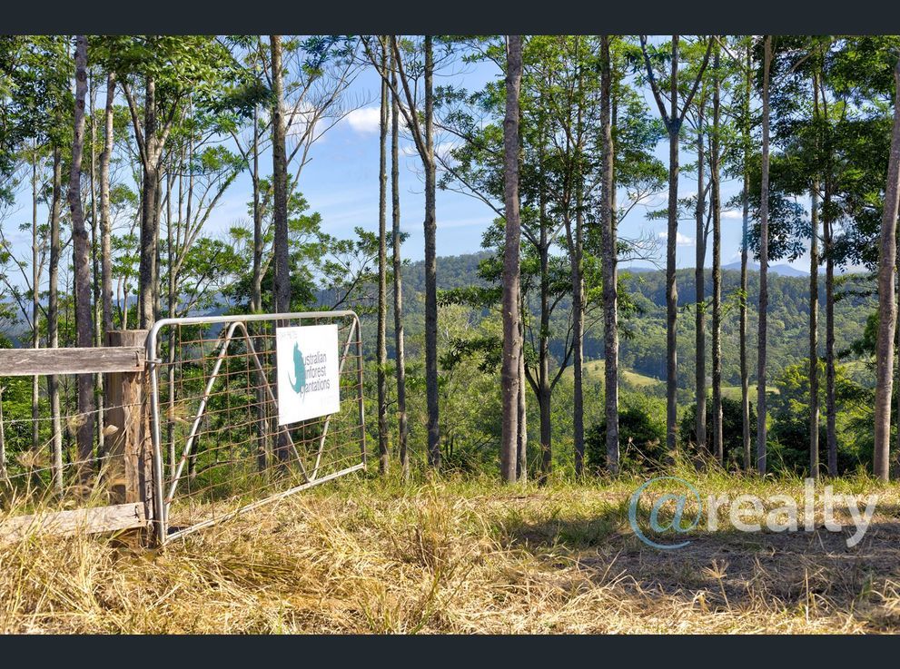 Property image of 310 Richards Road Newee Creek NSW 2447 #1 | Real Estate Nambucca