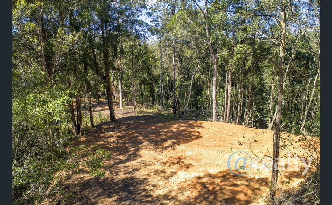 Property 98 Dyers Loop Road Argents Hill NSW 2449 image #4 | Real Estate Nambucca