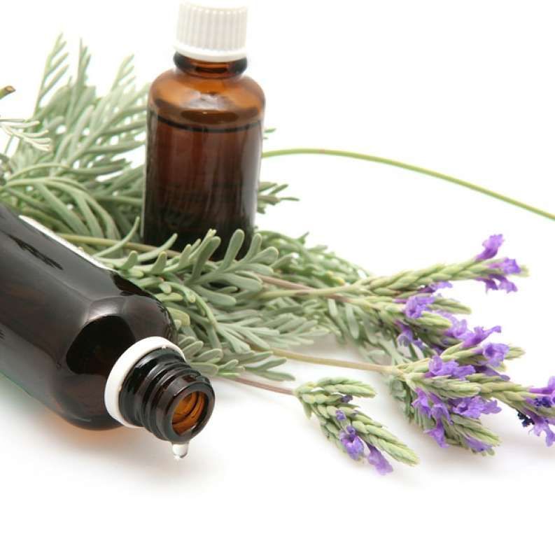 Lavender Oil And Lavender Flow