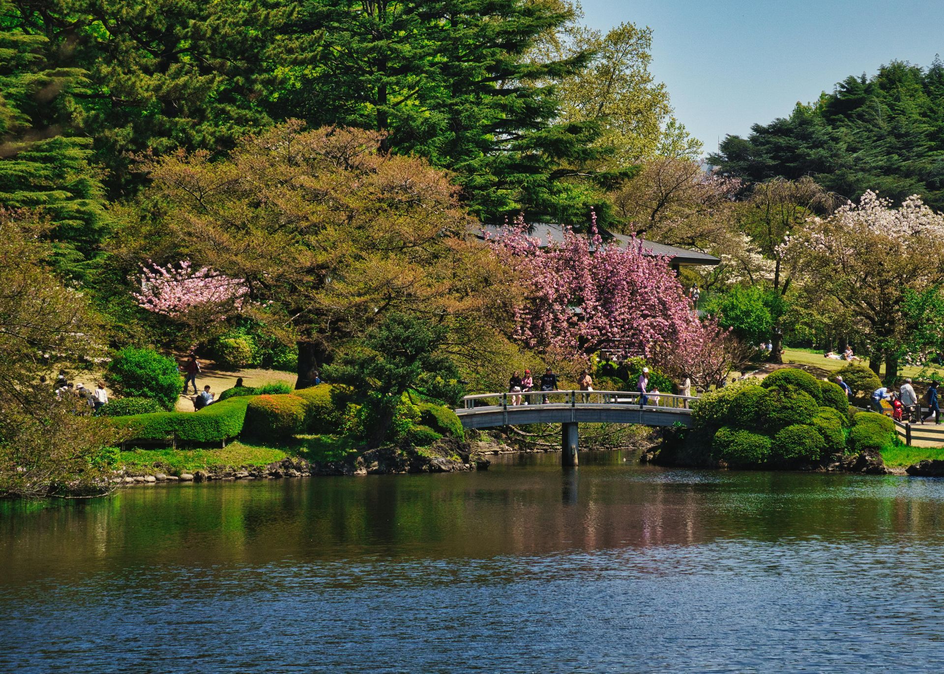 Shinjuku Gyoen