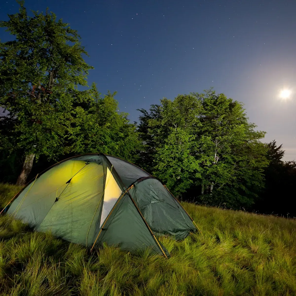 A green tent glows at night in a grassy field with trees under a moonlit sky.