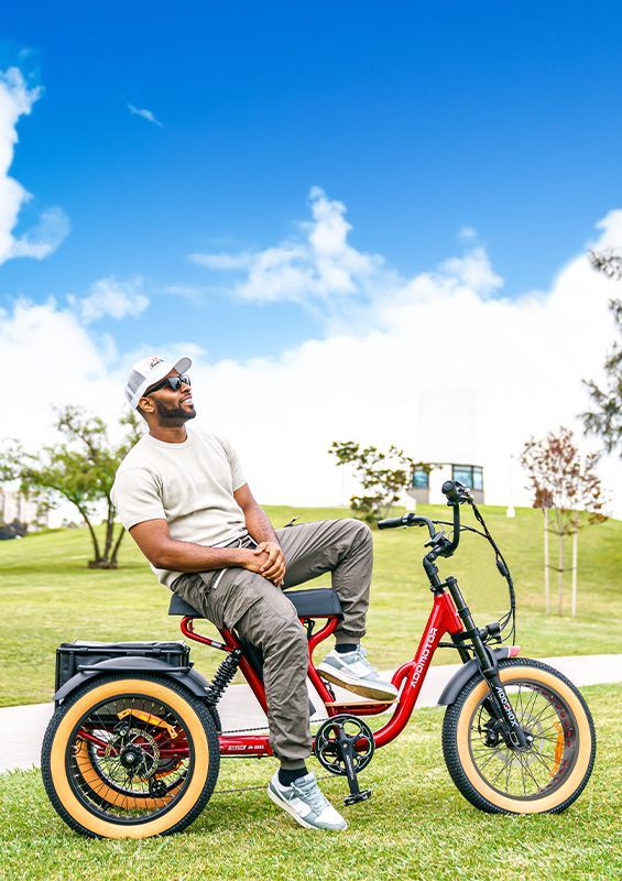 Himiway Zebra | All Terrain Electric Fat bike | Himiway E-bikes
