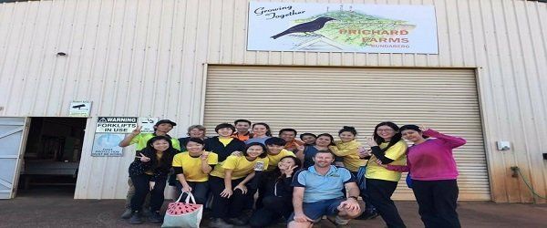 飛行機師、自訓機師、培訓機師、飛機修護、飛機維修、丙級飛機修護證照、乙級飛機修護證照、航空補習班、職訓課程、免費課程、空服、空姐、空少、空服怎麼考、空姐補習班、航空補習班、地勤、地勤怎麼考、地勤補習班