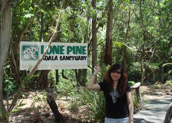 飛行機師、自訓機師、培訓機師、機師怎麼考、勞動部產業新尖兵課程