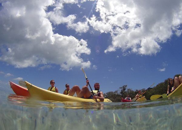 飛行學校、飛行機師、自訓機師