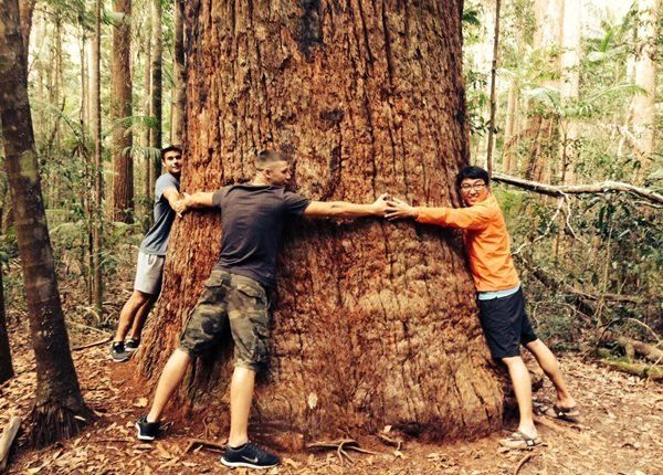飛行學校、飛行機師、自訓機師