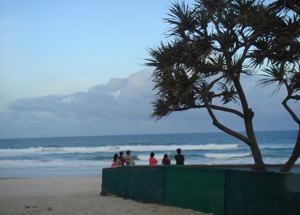澳洲飛行學校、澳洲展翼飛行學院 AUSTRALIA WINGS ACADEMY、飛行學校、飛行機師、自訓機師、勞動部產業新尖兵課程