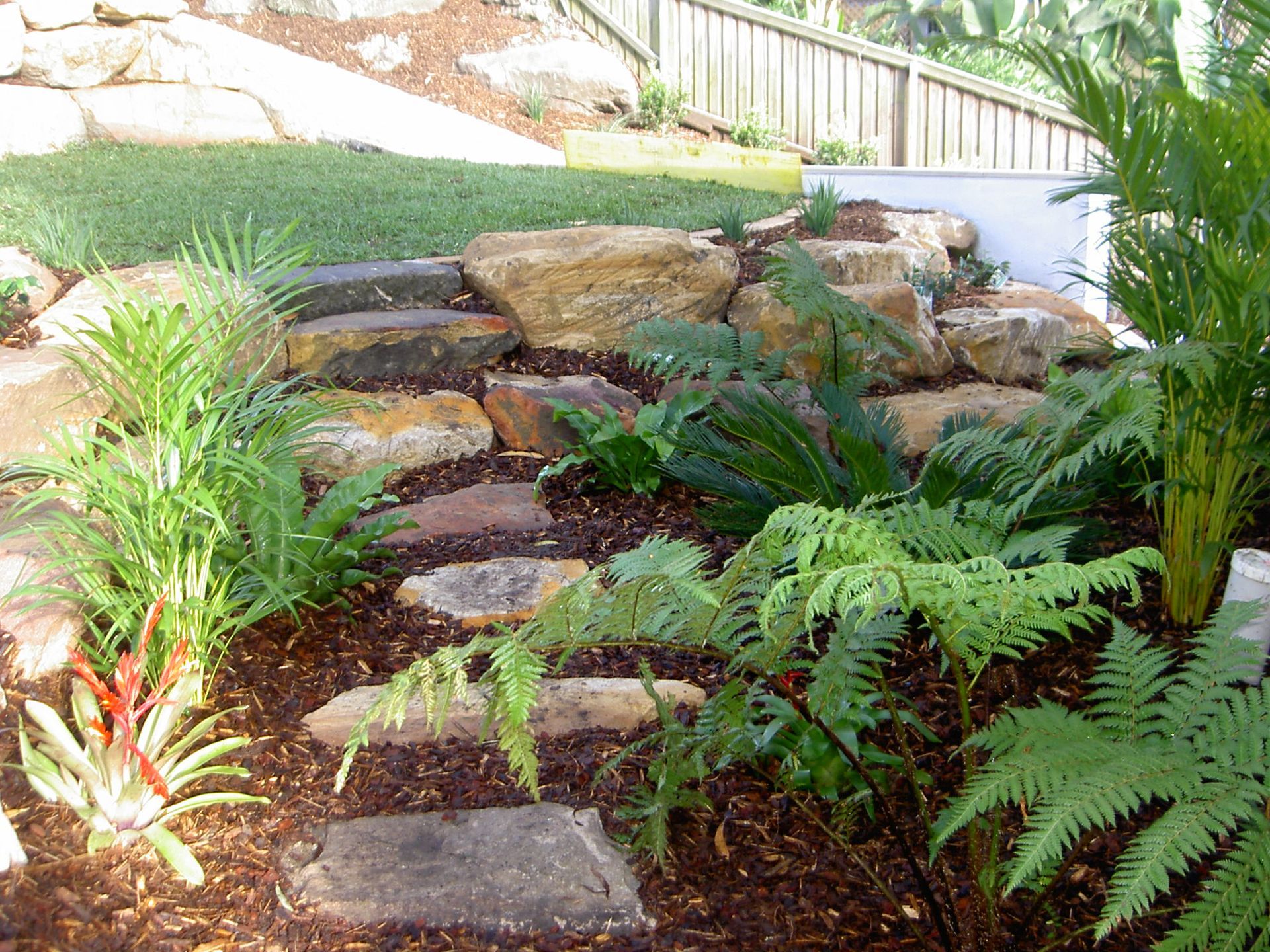 Stone steps in a landscaped garden with ferns, palms, and mulch— Dubbo Premier Landscapes in Dubbo, NSW