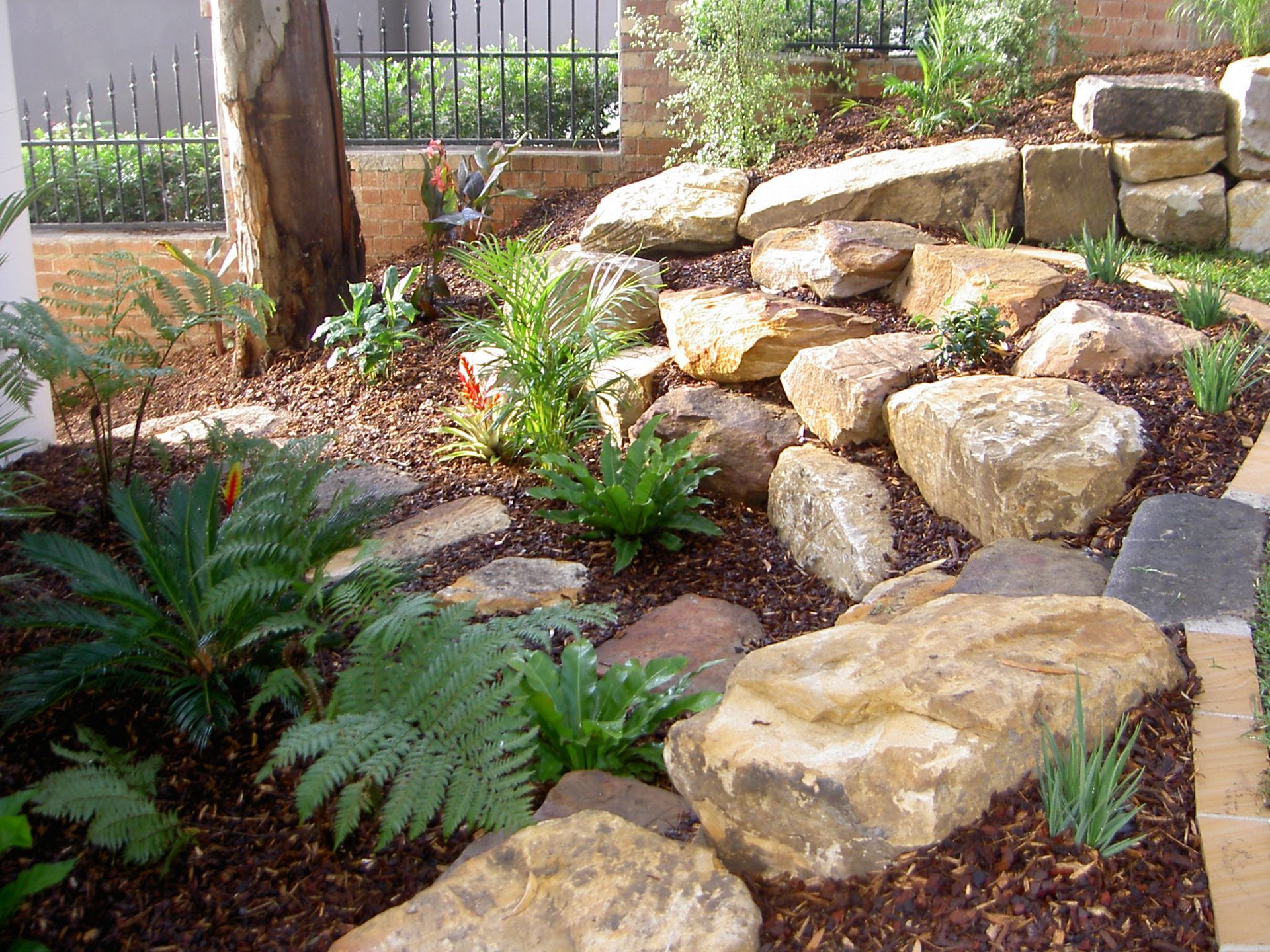 Rock garden with large stones, ferns, and various green plants — Dubbo Premier Landscapes in Dubbo, NSW