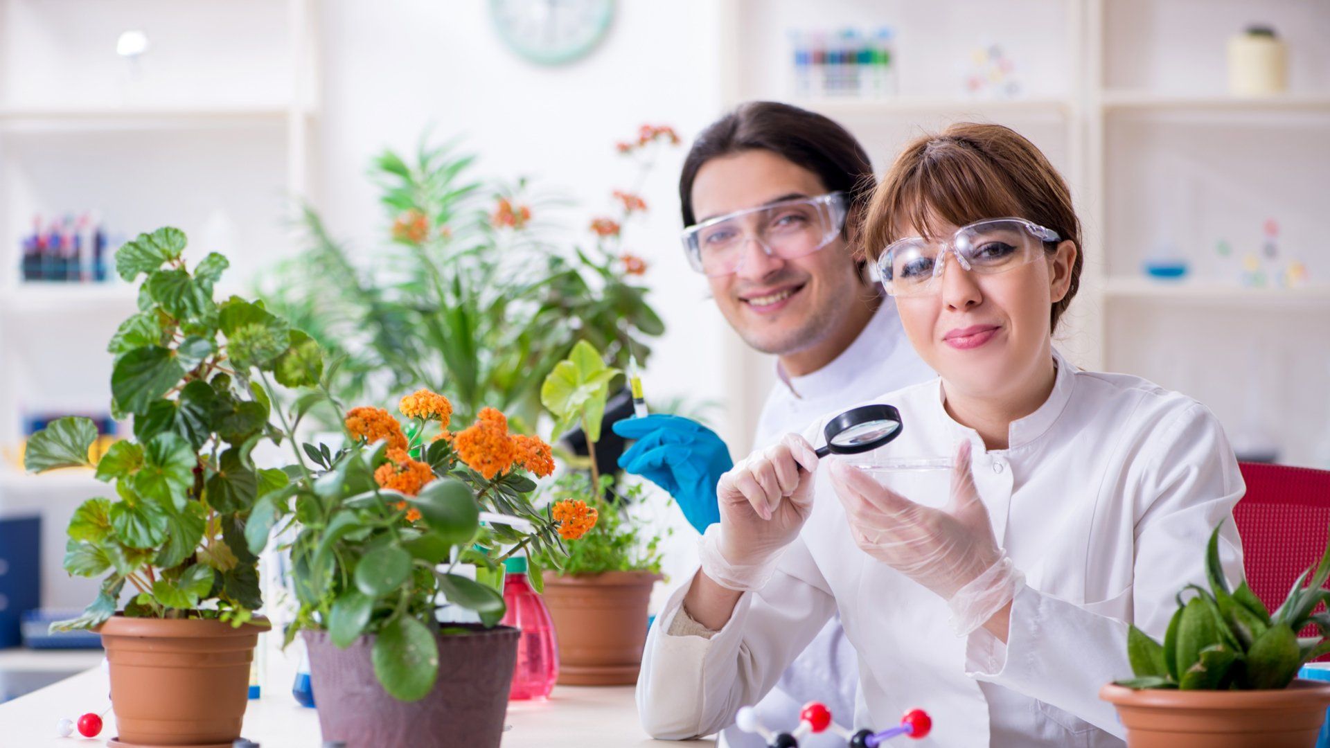 Enzyme Cleaning, Detailing or Sunshine Green Enzyme Detailing based on a revolutionary organic enzyme named Ensynox.