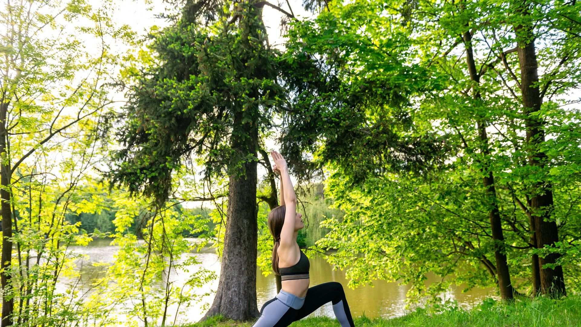 Our goal is to provide the best quality in cleaning and detailing that is possible, whether the client selects a simple exterior or interior cleaning service or chooses one of our more specialist different detailing service