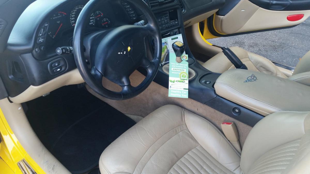 Human and Environmentally Friendly Car Cleaning-Detailing Services 7