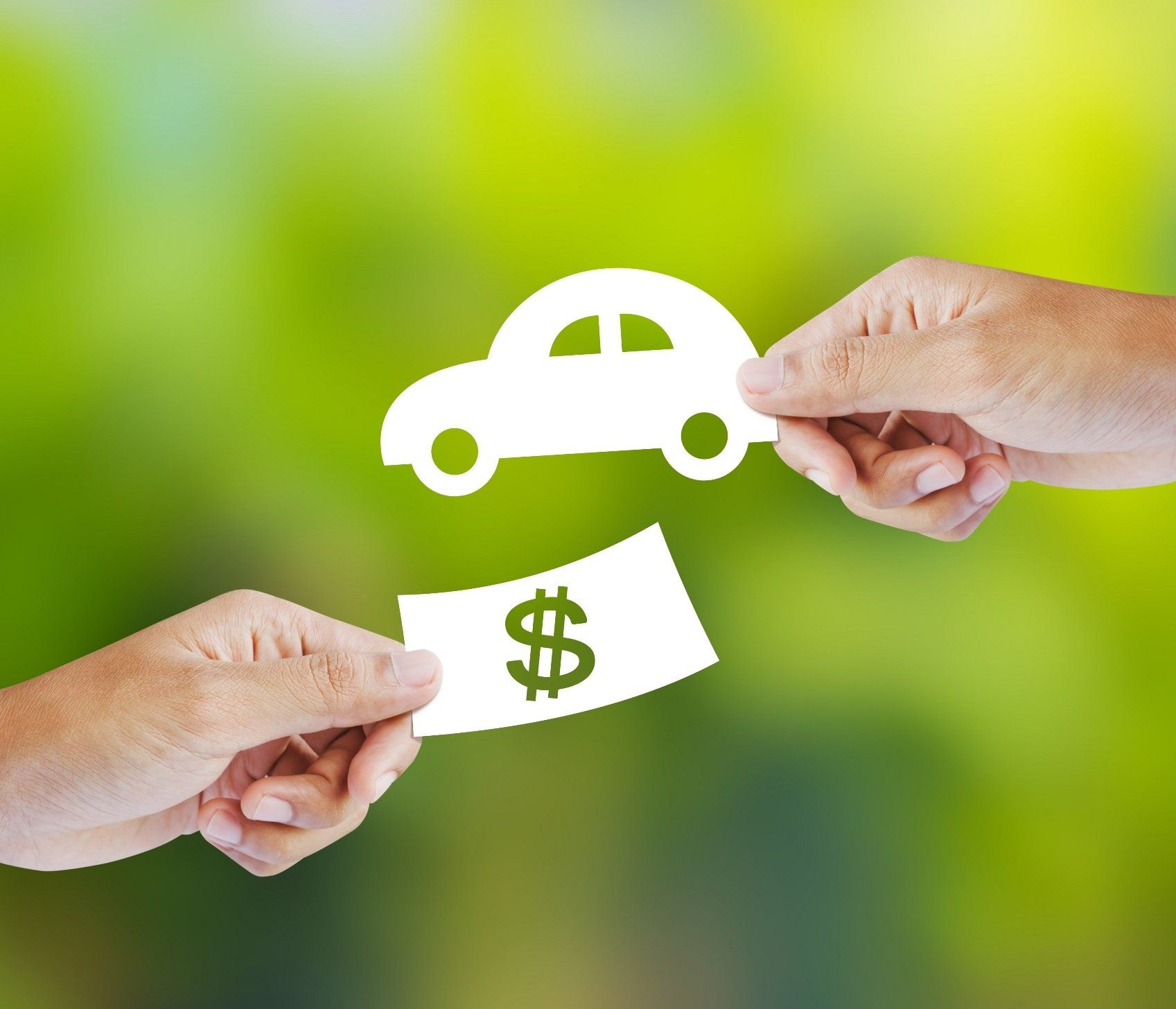 We launched this business opportunity and opened the market at end of 2018.