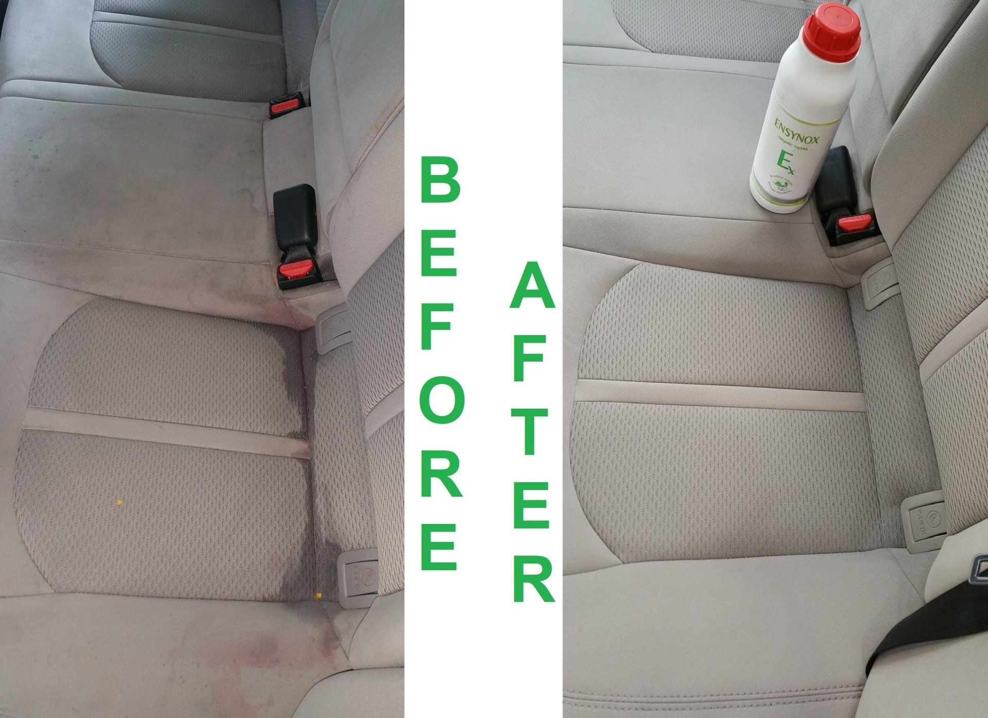 Human and Environmentally Friendly Car Cleaning-Detailing Services 4