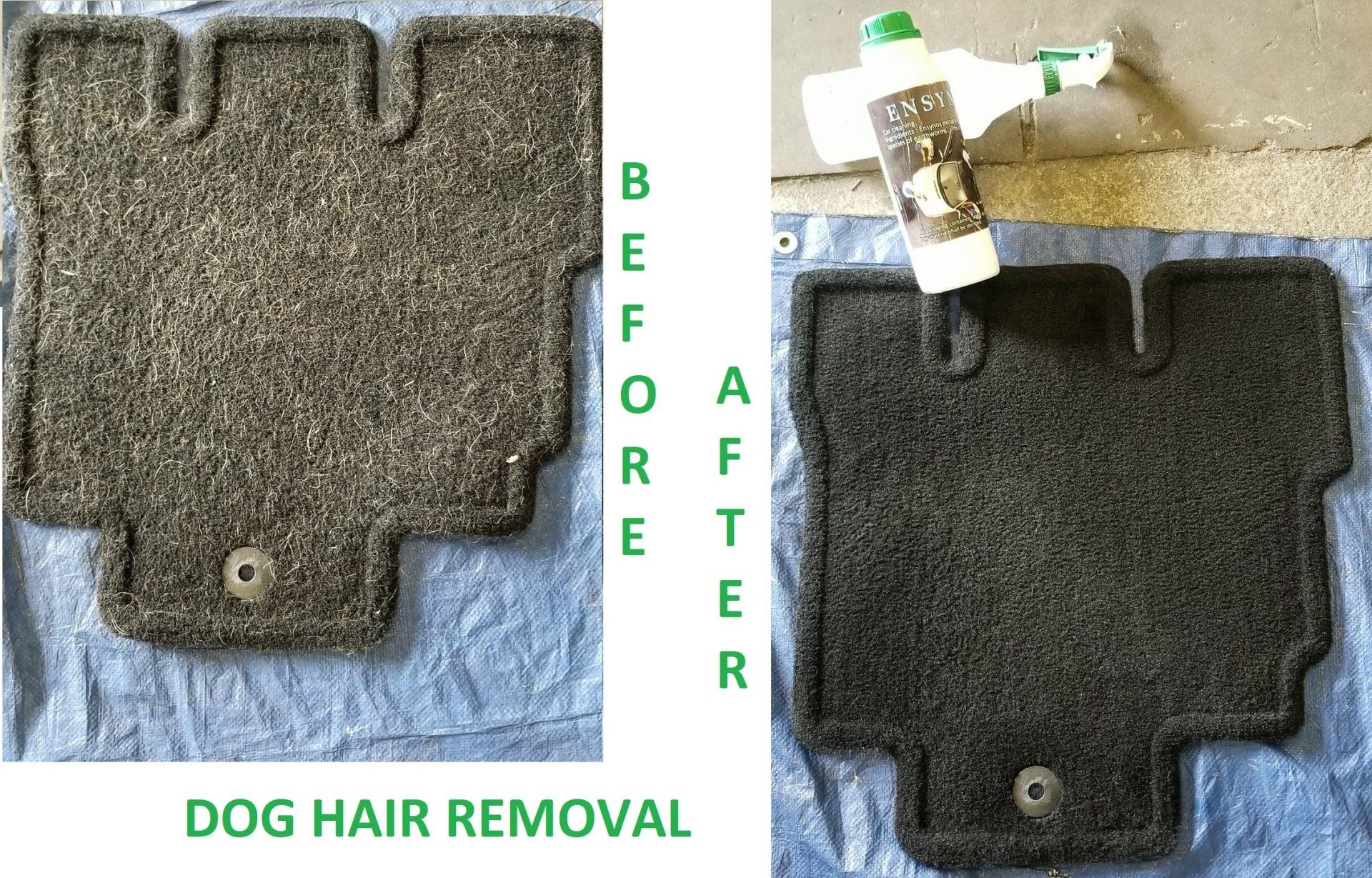 Human and Environmentally Friendly Car Cleaning-Detailing Services 3