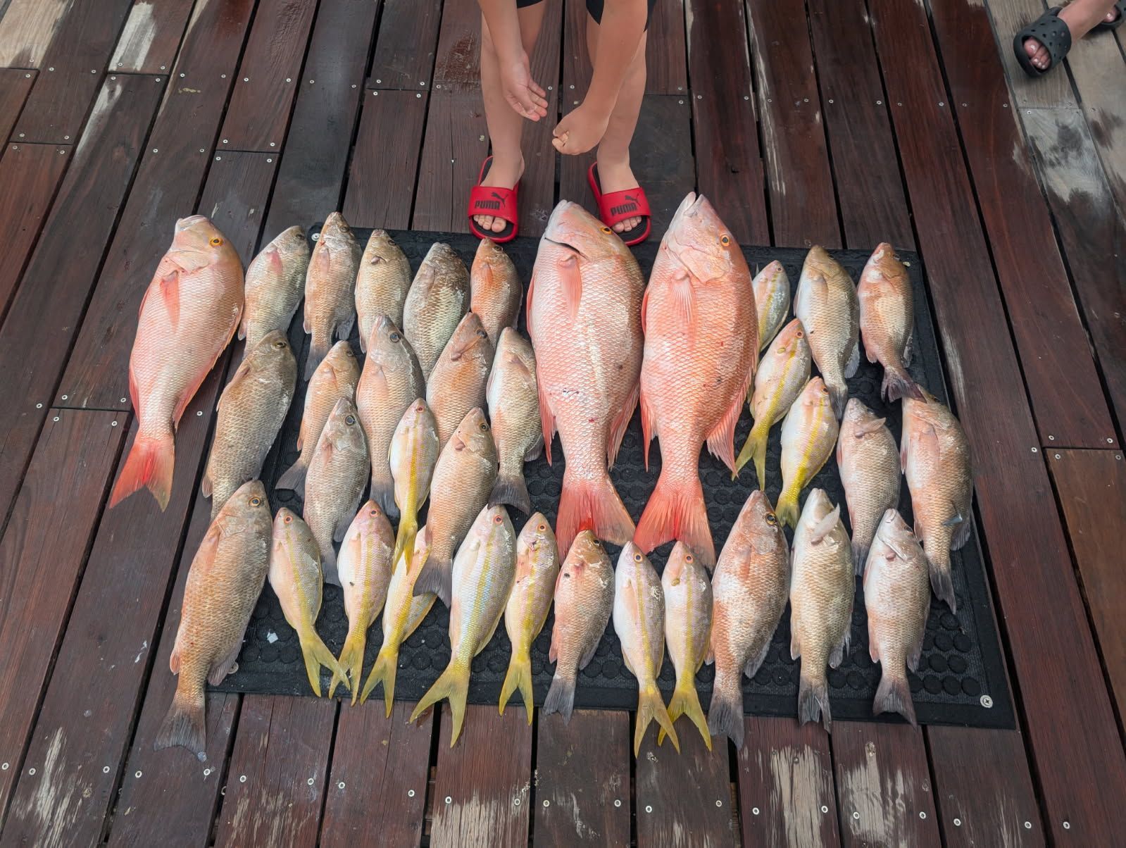 Pile of caught fish on a wooden dock, with a person standing above. Mostly red, yellow, and silver colors.