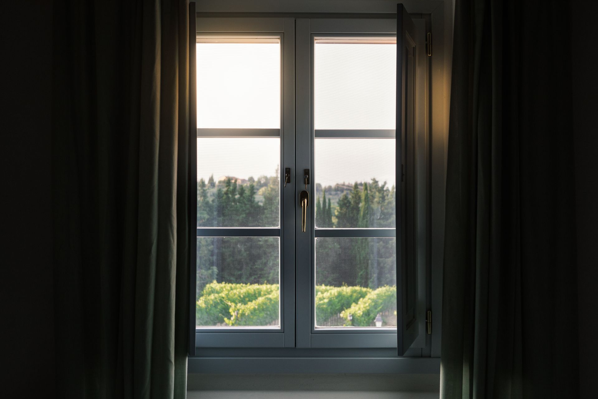 Finestra con i vetri aperti che si affaccia sugli alberi verdi e sul fogliame.