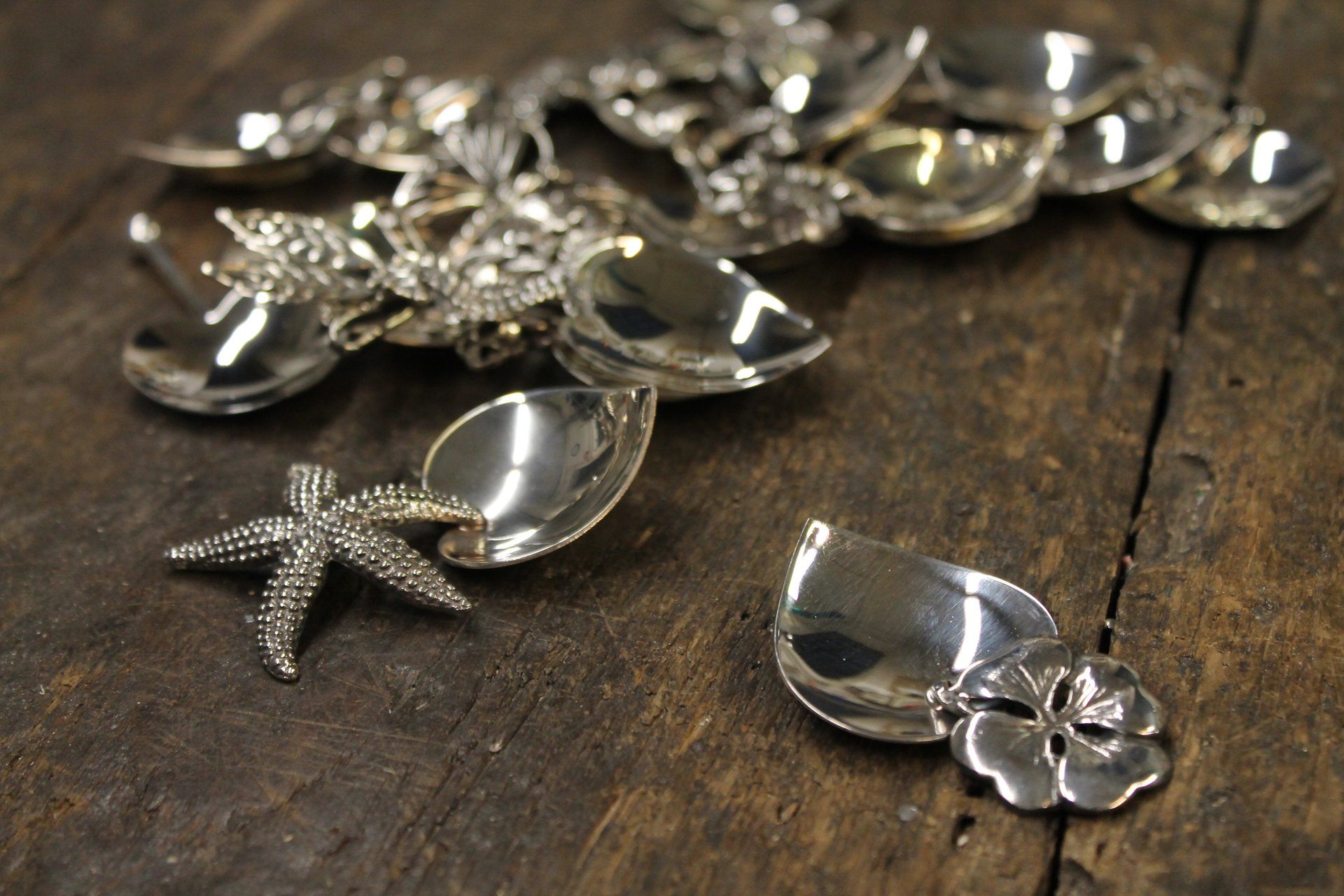 stelle marine d'argento