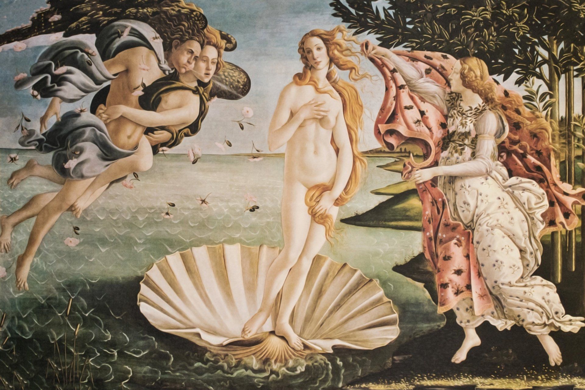 venere botticelli