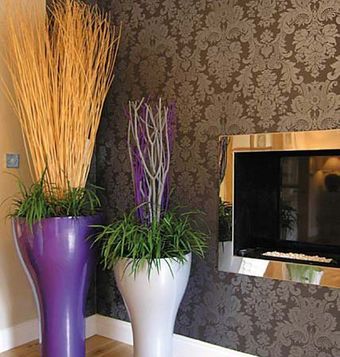 indoor and outdoor floral displays