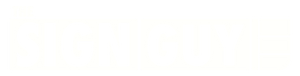 vector right logo