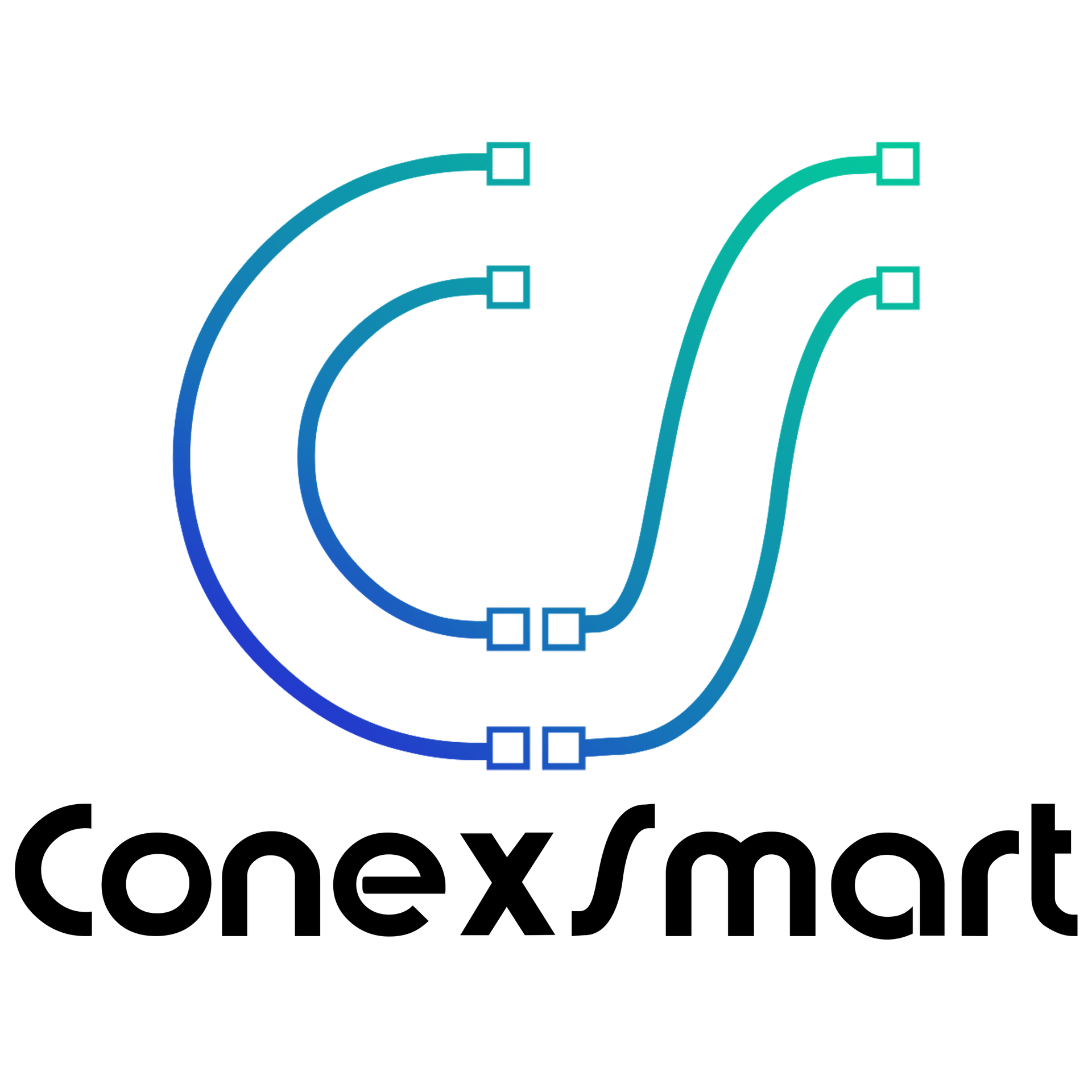 Conexsmart Logo