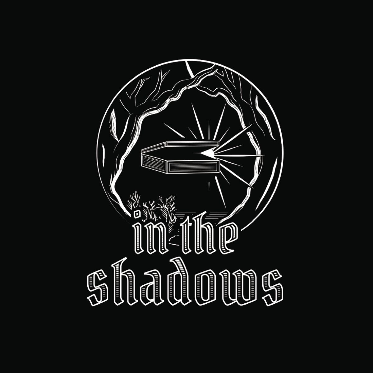 A black and white logo for a company called in the shadows.