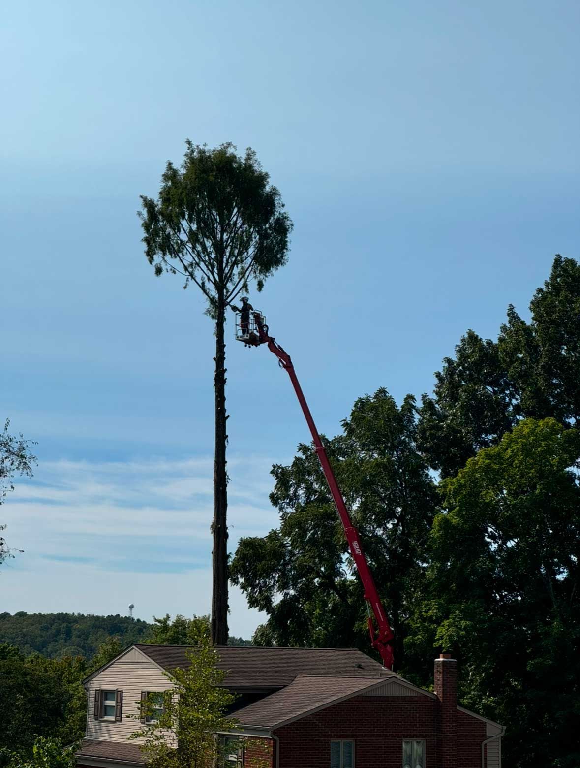 A tree being cut down by a crane in front of a house