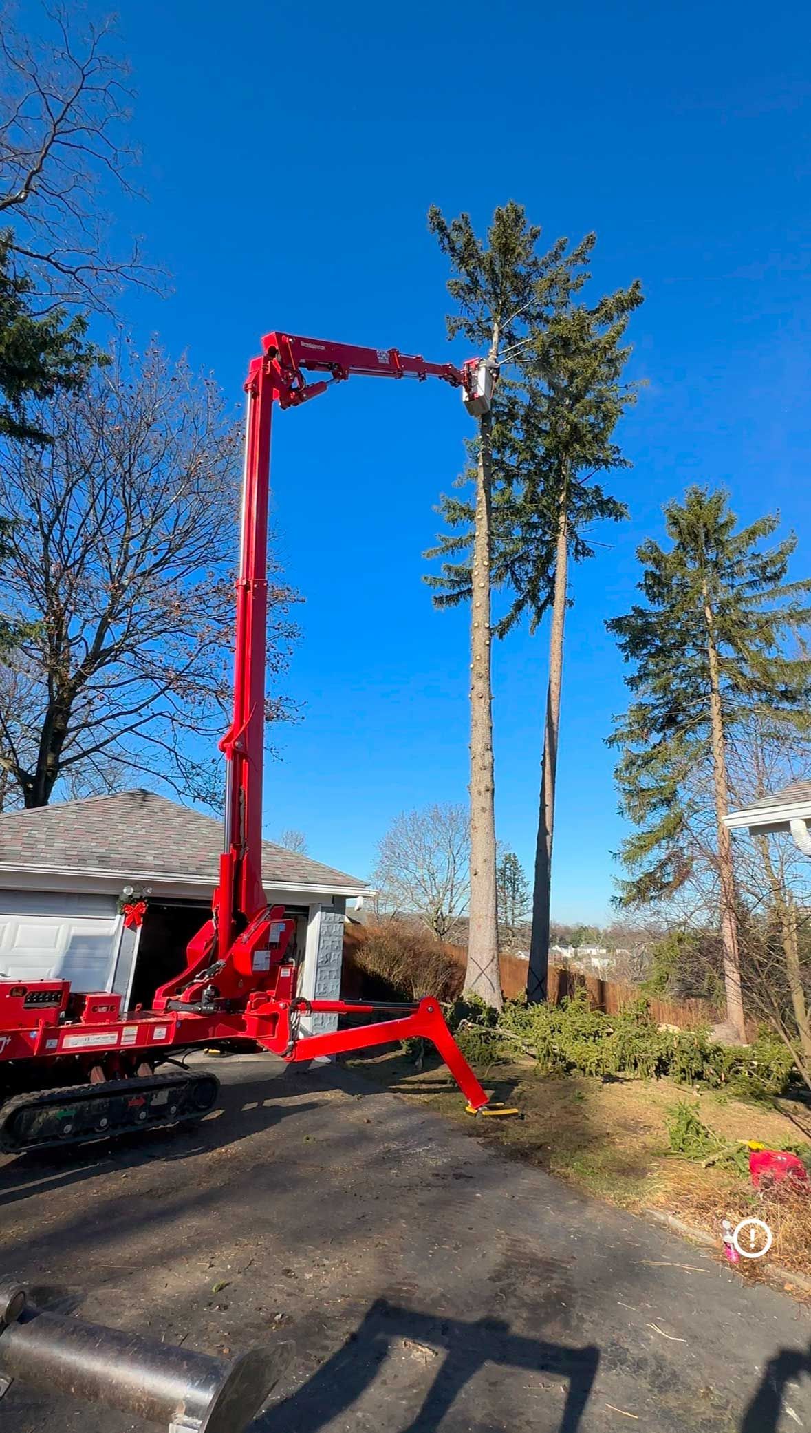 A red crane is cutting a tree in front of a house.