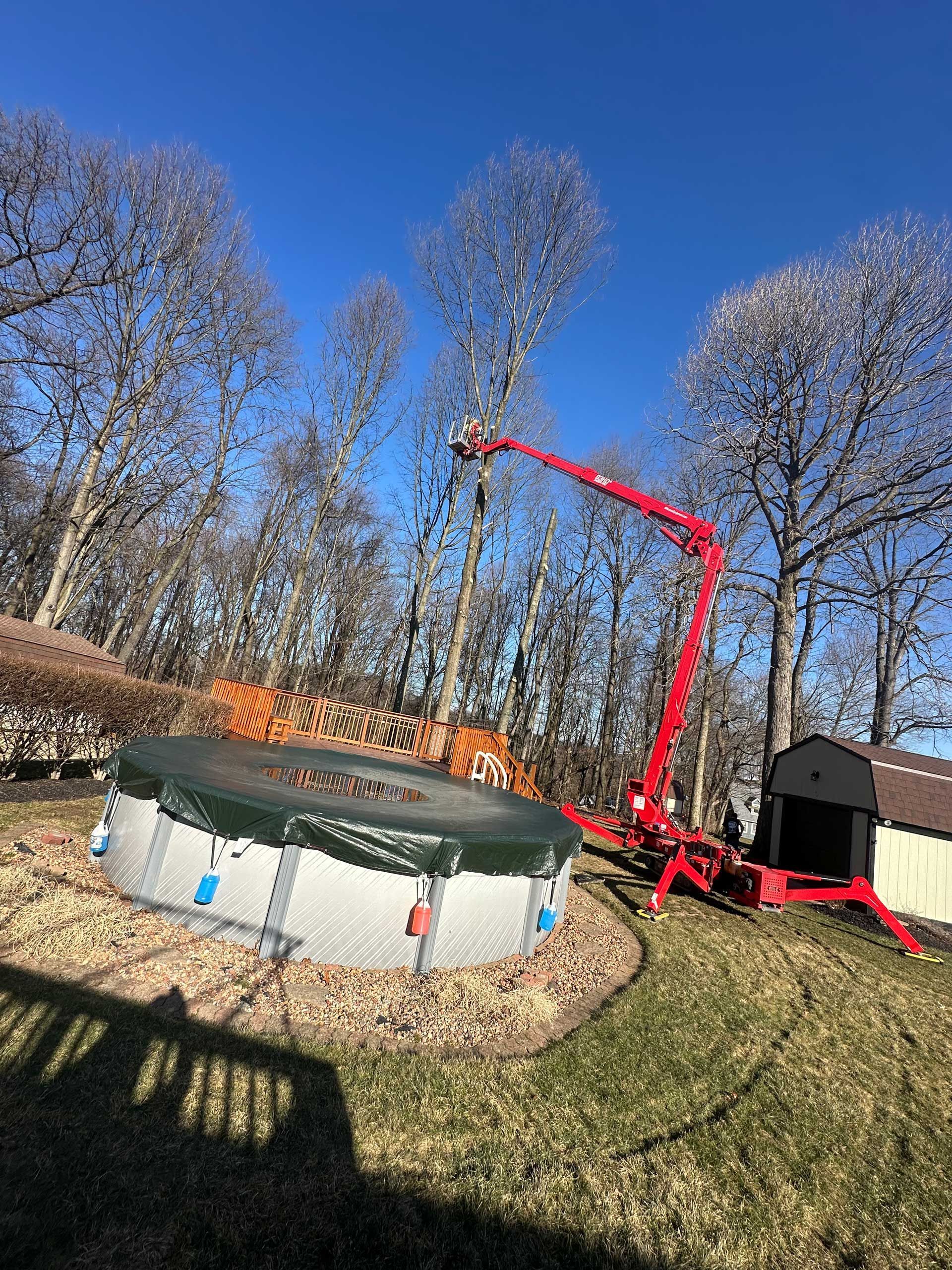 A red crane is cutting a tree next to a pool.