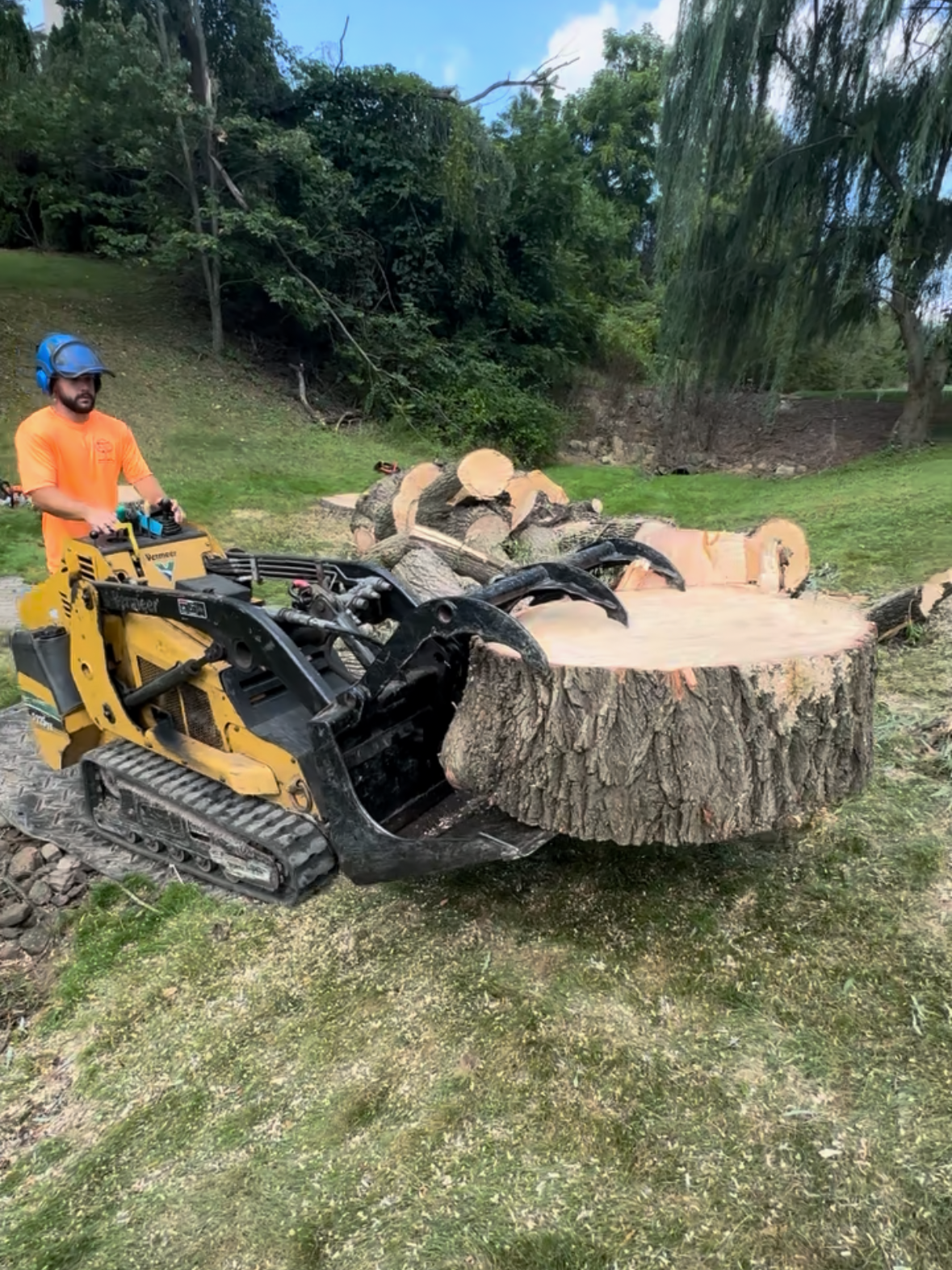 A man is driving a tractor next to a large tree stump.