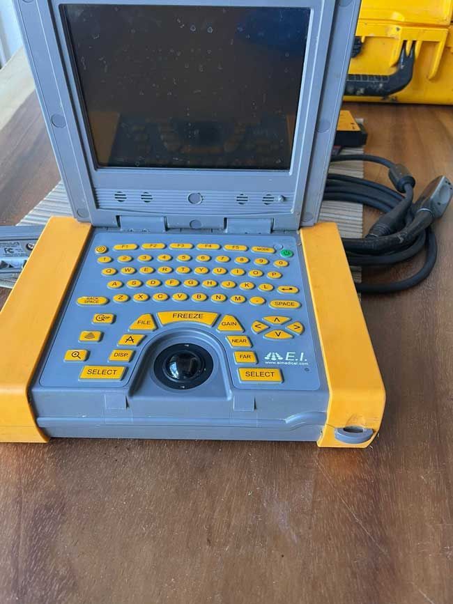 Veterinary ultrasound