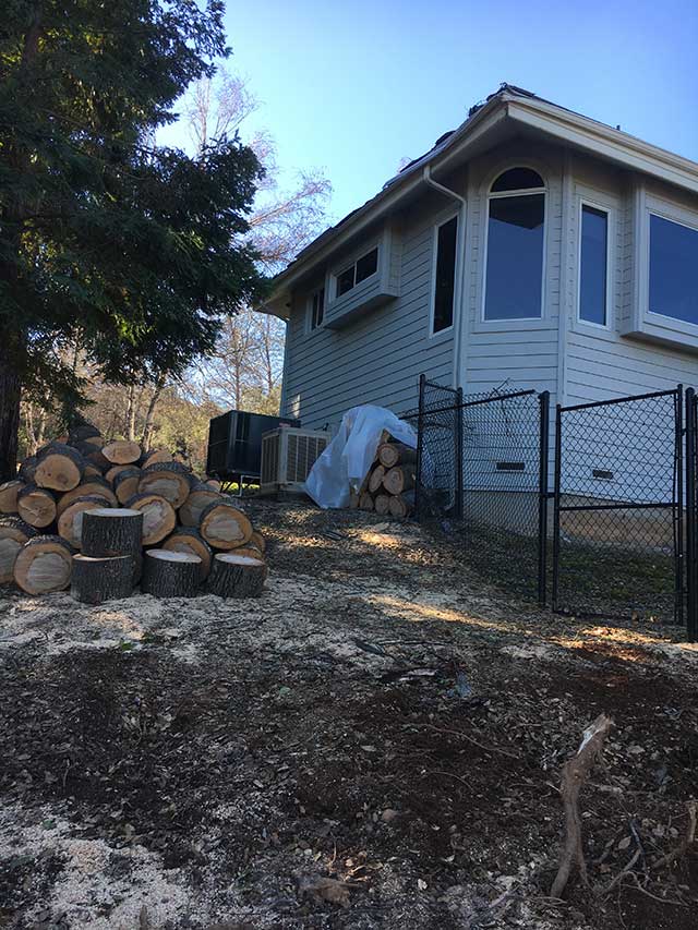 After Fallen Tree  Cleanup