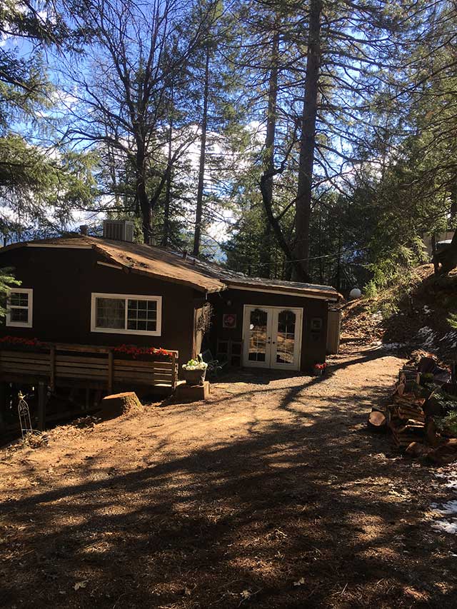 After Emergency Tree Removal