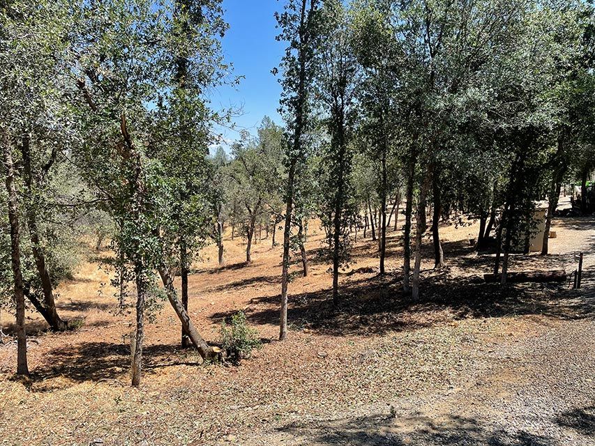 After Fuel Reduction