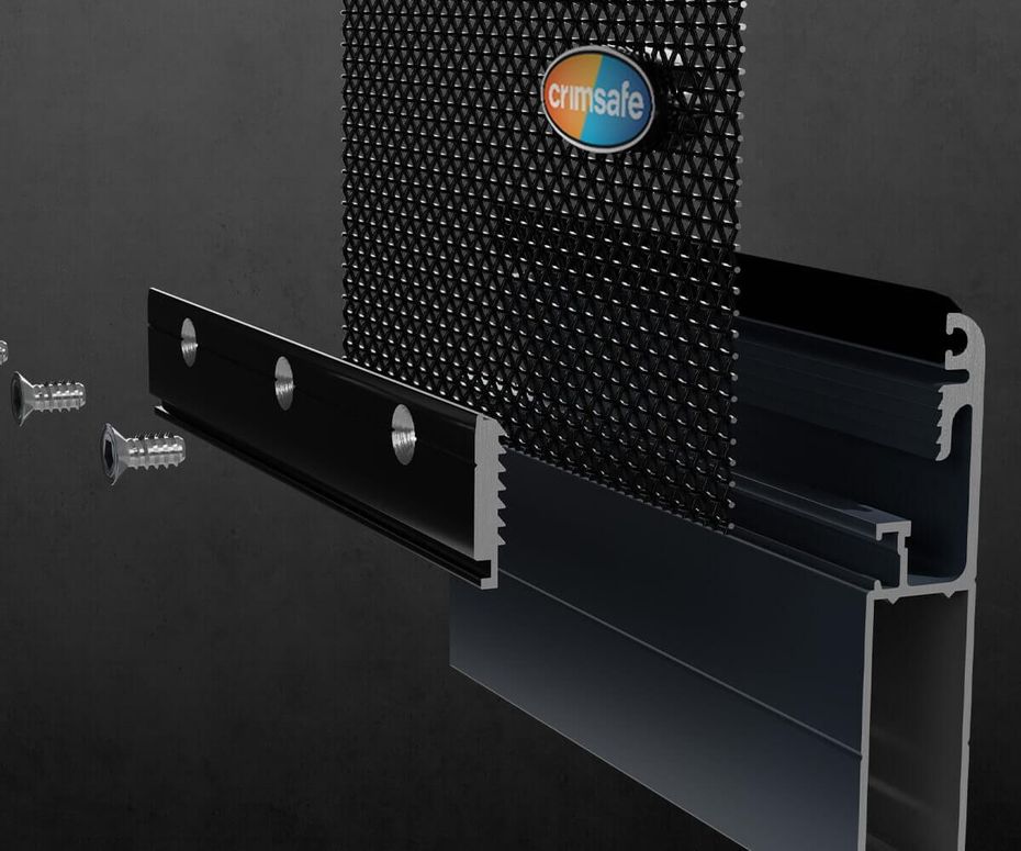 Black and white view through a screen door.