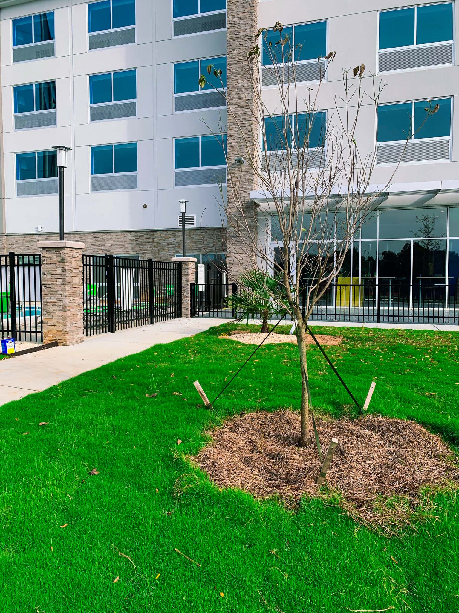 Tall wooden fence providing privacy for a suburban home.