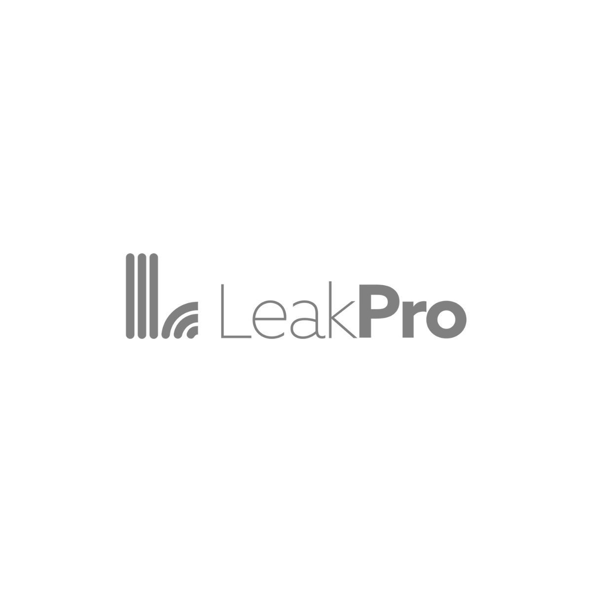 LeakPro logo 