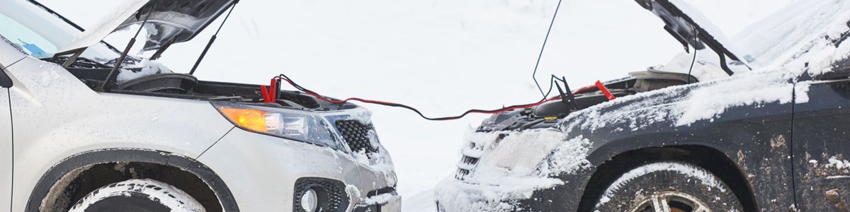 What’s Up With That? The Impact of AI on Car Care
