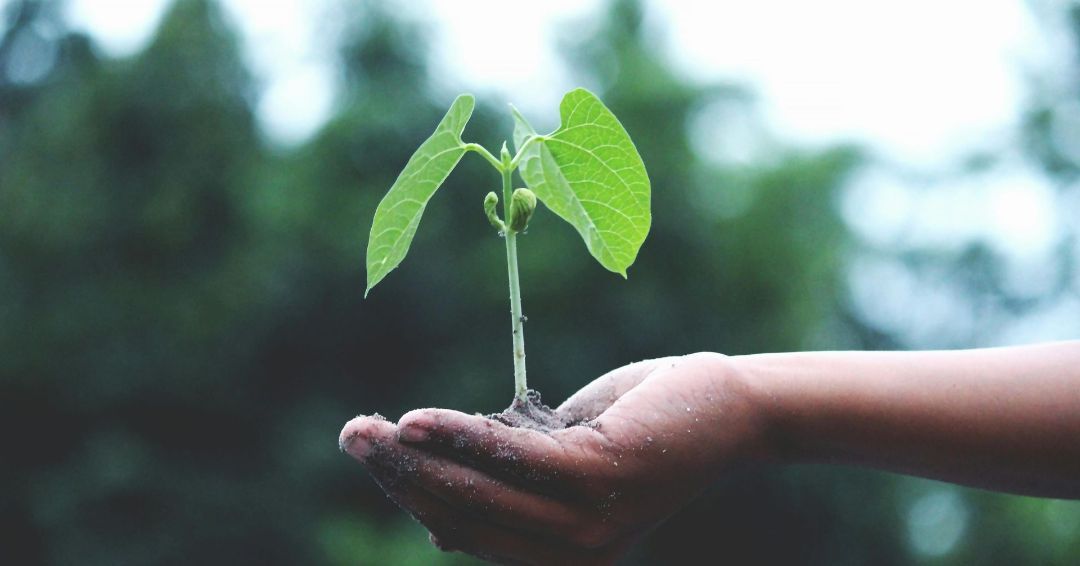 How to Make Your Car More Green