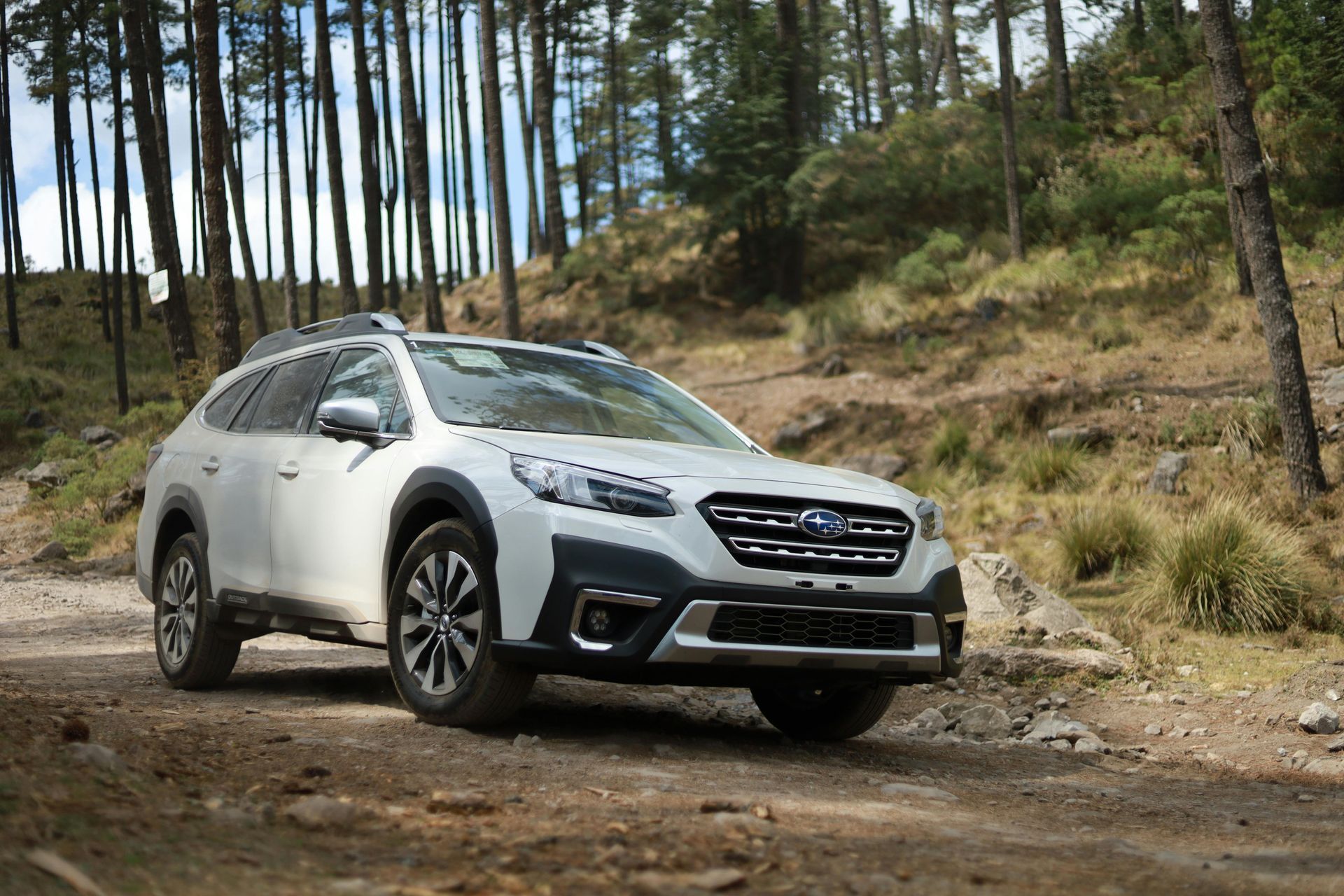 A white Subaru Outback parked on a dirt path in a forest of tall, slender pine trees.