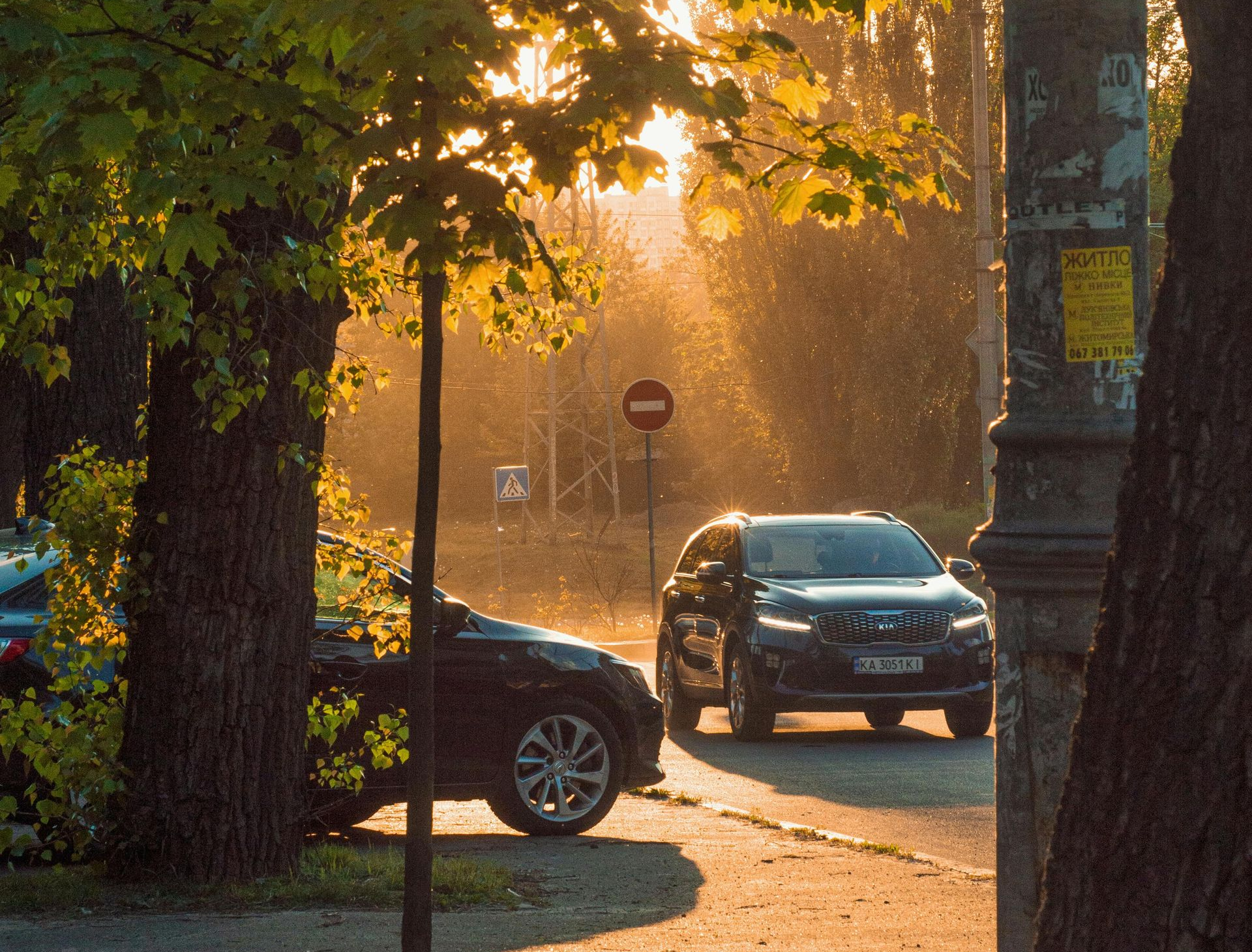Cars driving on a road lined with trees. Golden sunlight shines, creating a hazy atmosphere.