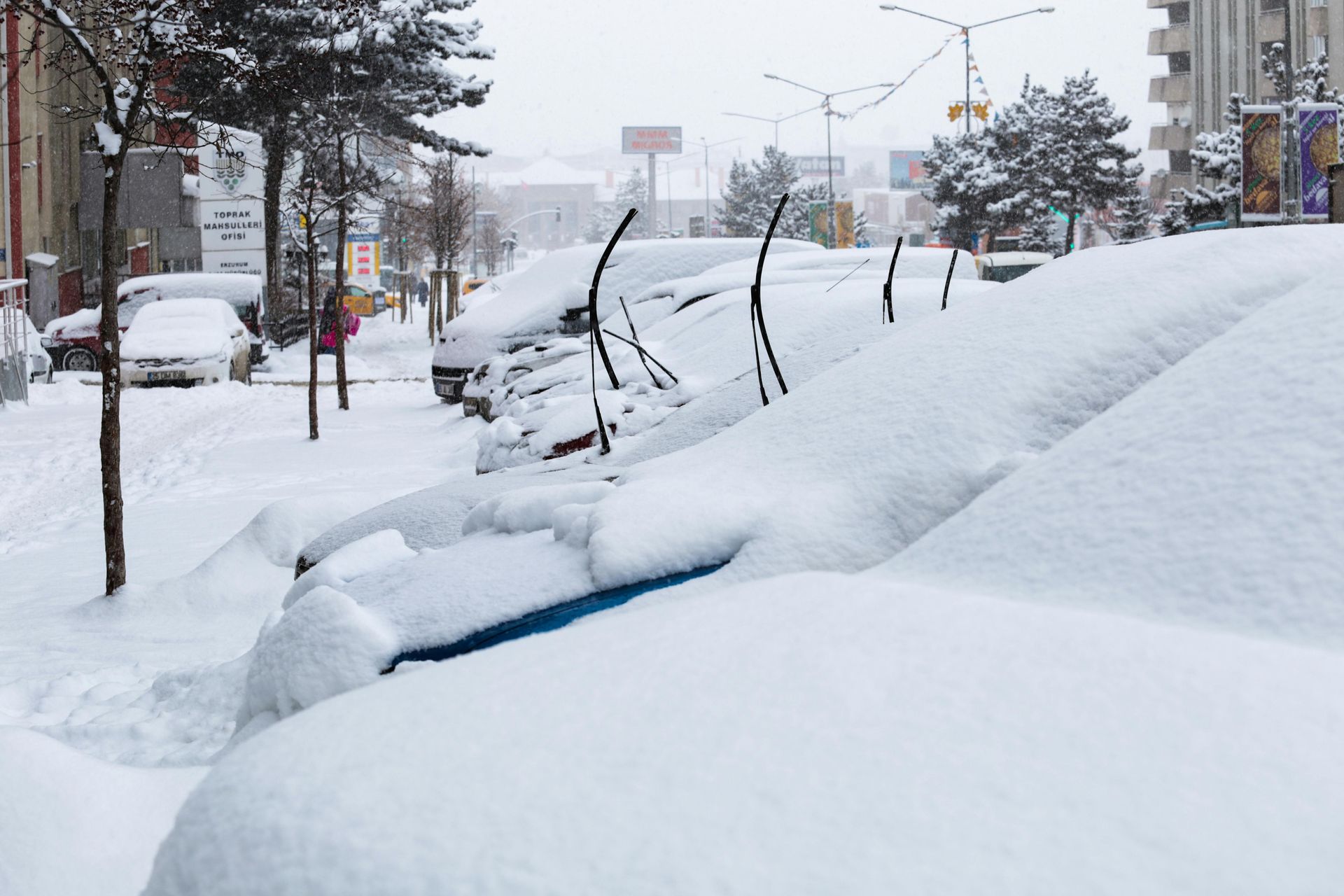 Cars buried under heavy snow on a street, winter scene.